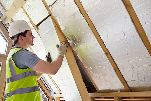 Best Energy Efficiency Solutions in Sidney, IL